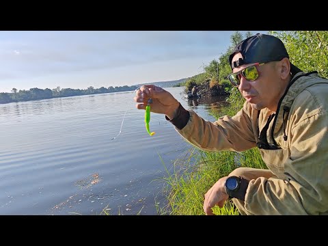 Видео: РЫБАЛКА НА ПРИПЯТИ. ПЕРВЫЙ ЖЕРЕХ, МНОЮ СЛОВЛЕННЫЙ! 