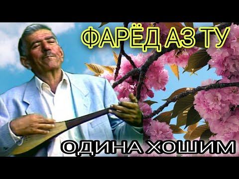 Видео: Одина Хошим _ фарёд Аз ту _ Фалак Odina Hoshim _ faryod az tu _ Falak