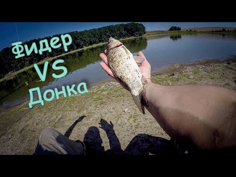 Видео: Рыбалка на крупного карася, Сумасшедшие поклёвки карася, Ловля на донку, Рыбалка с ночевкой.