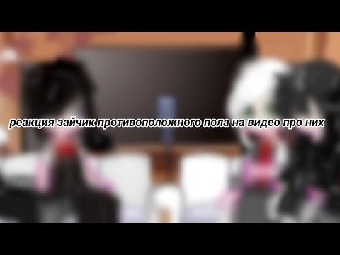 Видео: реакция зайчика противоположного пола (зайчиха OSB)  на видео про них  ||Enni||