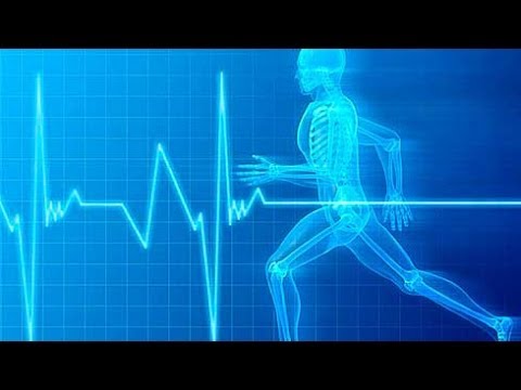 Видео: Программа тренировки на выносливость