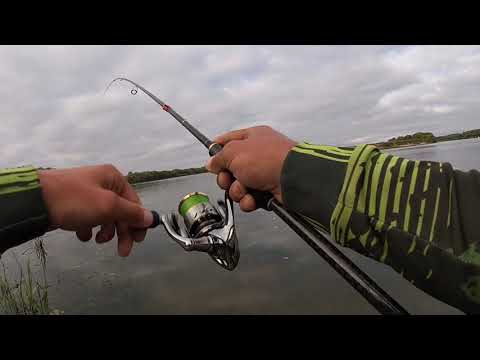 Видео: Ловля окуня на Оке. Evergreen poseidon 84T