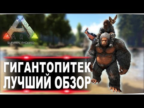 Видео: Гигантопитек (Gigantopithecus) в АРК. Лучший обзор приручение, разведение и способности  в ark.