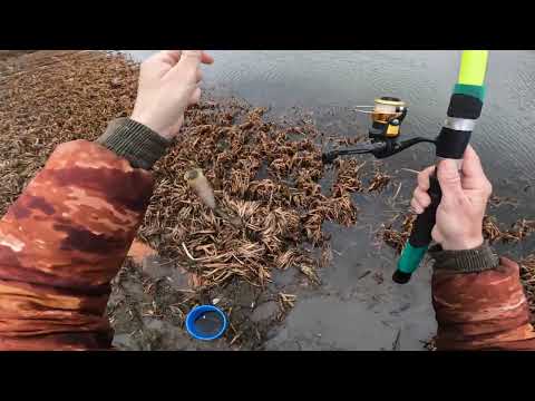 Видео: РЫБАЛКА НА ПОПЛАВОЧНУЮ УДОЧКУ В ОКТЯБРЕ