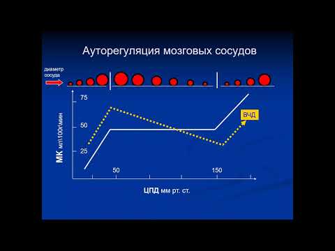 Видео: Патофизиология в НейроИТ Ошоров А.В.