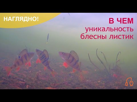 Видео: Чем так хороша блесна листик?!