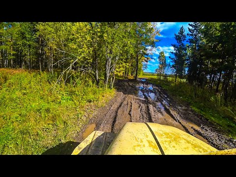 Видео: Русская дорога! Первый день уборки ячменя. Палессе GS-12 и Урал-5557.