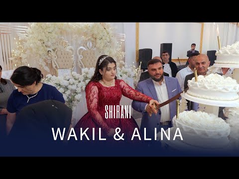Видео: Wakil & Alina //Shirani//Езидская помолвка //Dawata Ezdia PART 6