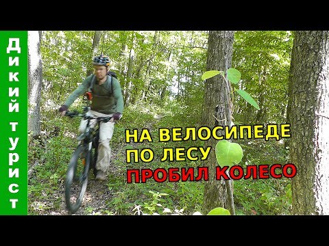 Видео: ЭТО МОЙ ПЕРВЫЙ ВЕЛОПОХОД по лесу. Пробил колесо на маршруте!