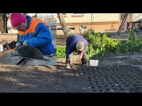 Видео: ПОСАДКА ЧАСНИКУ! ЯК ЗАТОЧИТИ ДИСКОВУ ПИЛУ НА ЦИРКУЛЯРКУ?