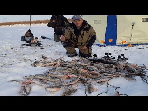 Видео: Первый лед 2019-2020.Леска трещит в пальцах. Плюс строганина от Дмитрича