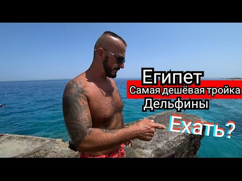 Видео: Египет 🇪🇬 Тройка за копейки Royal Star Empire Hotel 3* Хургада Дельфины Пляж Завтрак Сервис