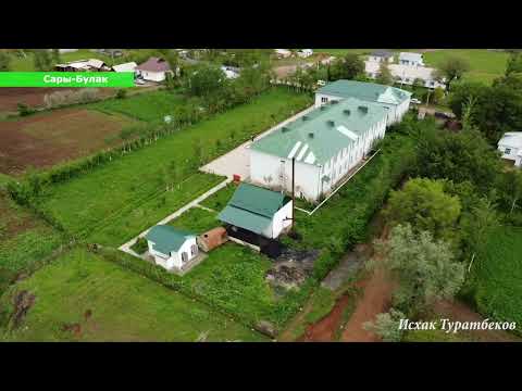 Видео: Сары-Булак айыл өкмөтү