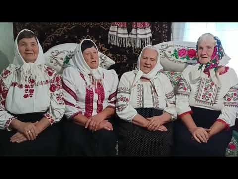 Видео: Пісня" Виряджала мати сина у солдати"