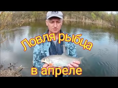 Видео: Весенний рыбец на поплавочную удочку