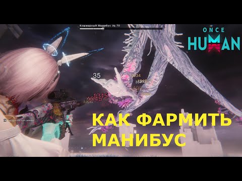Видео: ⚡ Как фармить МАНИБУСА на ИЗИ 💎 ТОП БИЛД в Once Human!