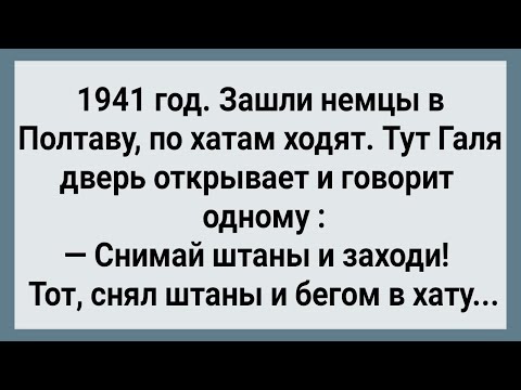 Видео: Как Галя в Хату Немцев Водила! Сборник Свежих Анекдотов! Юмор!