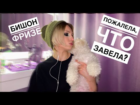 Видео: Первые месяцы с щенком || БИШОН ФРИЗЕ какой на самом деле?