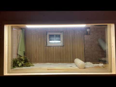 Видео: Федоров Тимофей г. Москва Домашний Банщик. Зачет.