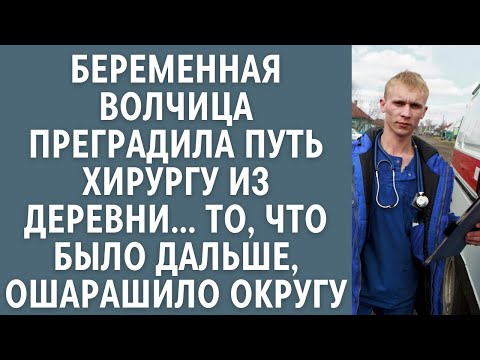 Видео: Беременная волчица преградила путь хирургу из деревни….От того, что было дальше, всполошилась округа