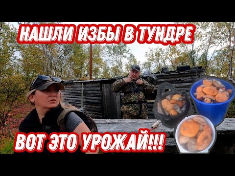 Видео: Со СПИННИНГОМ за ГРИБАМИ. ВОТ это УРОЖАЙ! Нашли две ИЗБЫ.