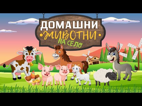 Видео: Животни във фермата | Домашни животни