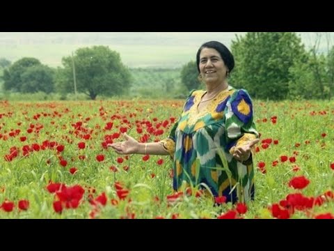 Видео: Нигина Рауфова | Гул ба домони диёр | Nigina Raufova