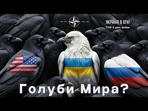 Видео: Голуби Мира сбиваются в стаи? День 1340-й