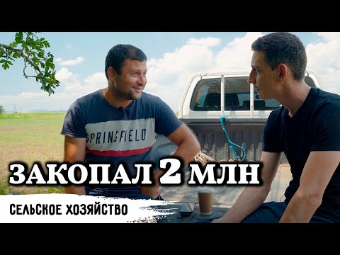 Видео: Поставил на красное! // Как рискует фермер?