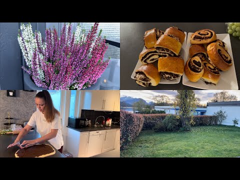 Видео: VLOG. Зимой будет теплее. Булочки с маком.