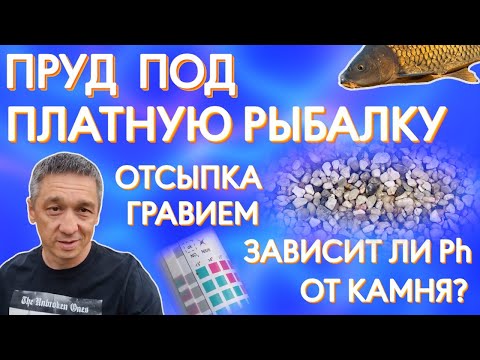 Видео: Как сделать пруд для платной рыбалки? Влияют ли камни на Ph? Отсыпка гравием