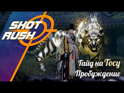 Видео: Black Desert BDO: Гайд Тоса /Dosa (Пробуждение в ПВЕ) от 08.08.25