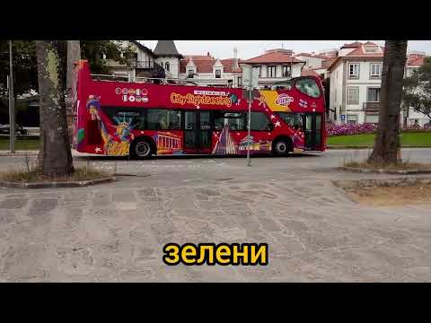 Видео: 26 октября 2025 г.