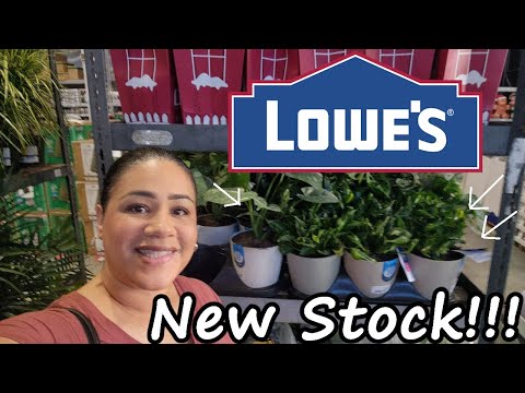 Видео: Любители комнатных растений, внимание! 🌿 Новые находки в садовом центре Lowe's