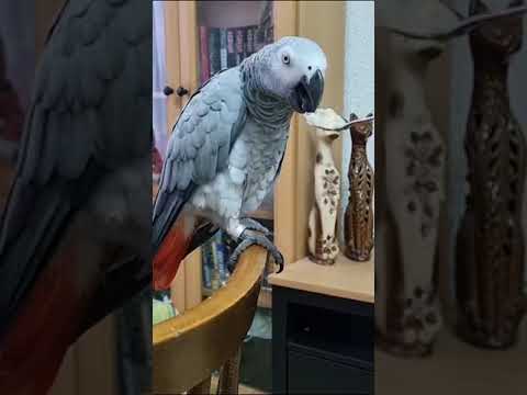 Видео: А Вам знакомо?  Капризный ребенок делает маме нервы.