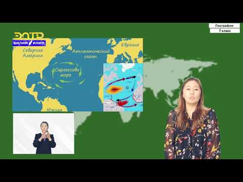Видео: 7-класс | География | Северная Америка. Географическое положение. История открытия и исследования