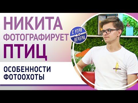 Видео: Никита фотографирует птиц. Особенности фотоохоты