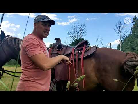 Видео: Верховая езда полезна в полях как хобби... :)