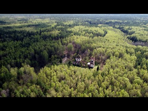 Видео: Из Шатуры в Петушки на велосипеде, через Мещеру.