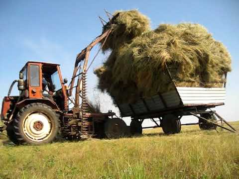 Видео: Т-16 погрузка сена.
