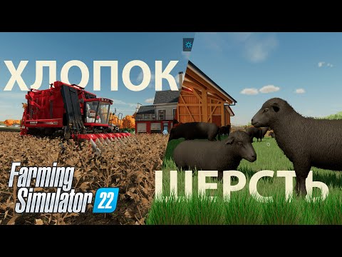 Видео: Что приносит больше денег? Хлопок или шерсть в Farming Simulator 22