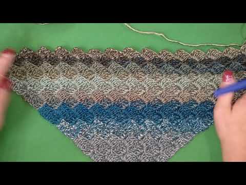 Видео: МАСТЕР-КЛАСС/ Бактус крючком / Crochet baktus C2C