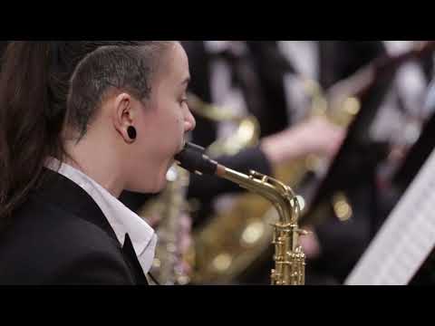 Видео: Юрий Машин "Битлз-симфония"