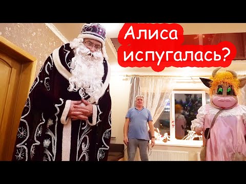 Видео: VLOG К нам приехал Дед Мороз