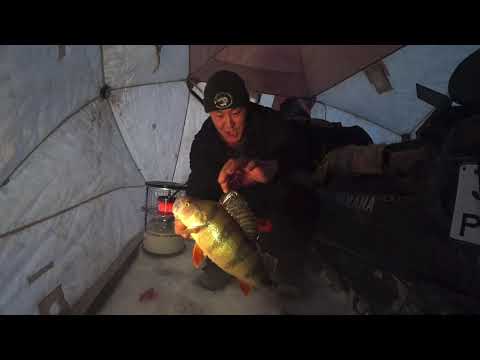 Видео: НОВОГОДНЯЯ РЫБАЛКА С СЕМЕНЫЧЕМ 1 серия!!!