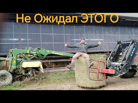 Видео: Я в ШОКЕ 😱 Не Ожидал такого! 🚜Заготовка Сенажа - Подводим Итоги