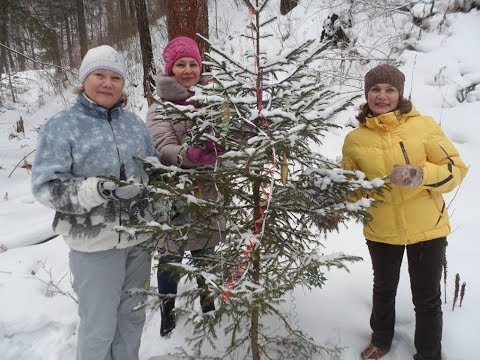 Видео: 30.12.18 С Новым, 2019 годом,  мои дорогие друзья!!!
