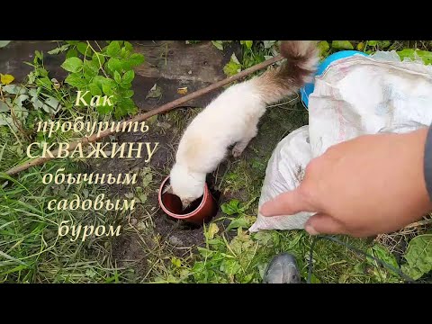 Видео: Как пробурить СКВАЖИНУ обычным садовым буром (расширенная версия)