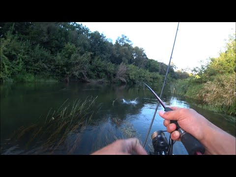 Видео: ПОПАЛ НА ЖОР | Рыба сошла С УМА И КЛЕВАЛА НА ВСЁ!!!