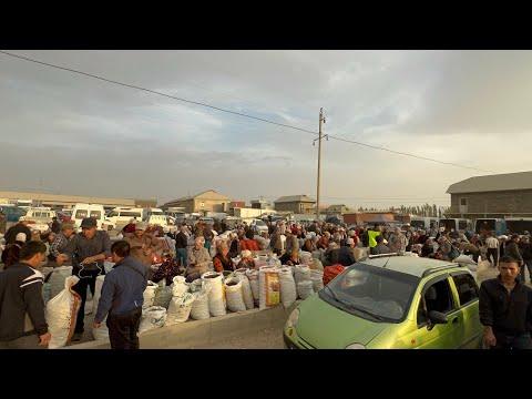 Видео: Орук базар